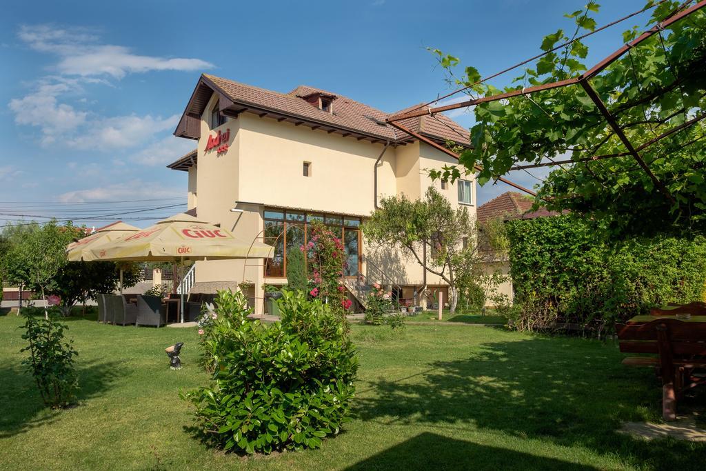 Pensiunea Andrei Rm Valcea Râmnicu Vâlcea Exteriör bild