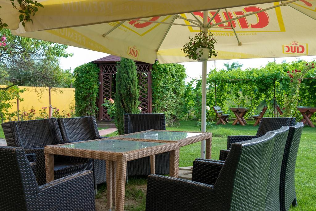 Pensiunea Andrei Rm Valcea Râmnicu Vâlcea Exteriör bild